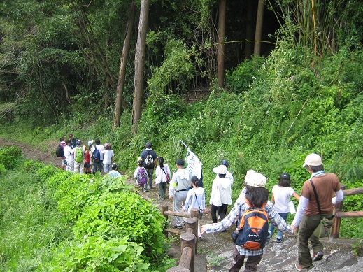 照葉樹林探検