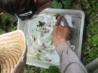 珍しい生き物観察