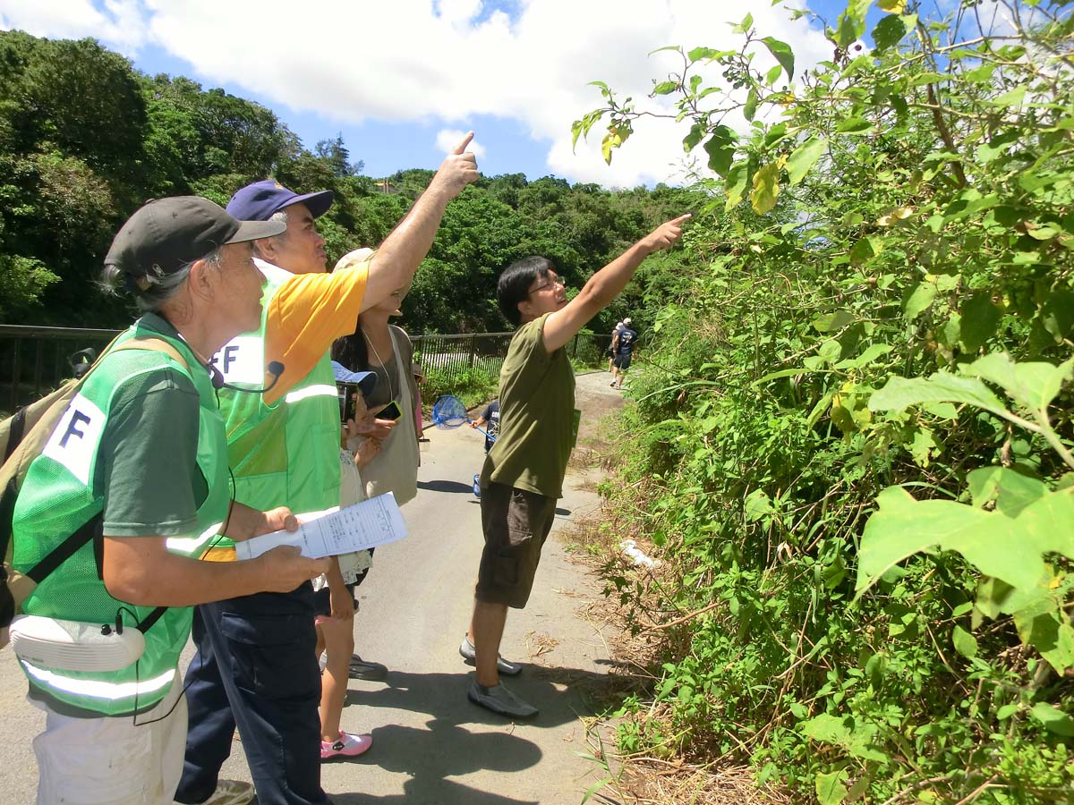 天願川_植物観察1