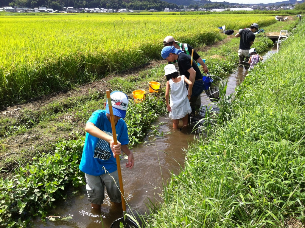 タモ網を立てて使います