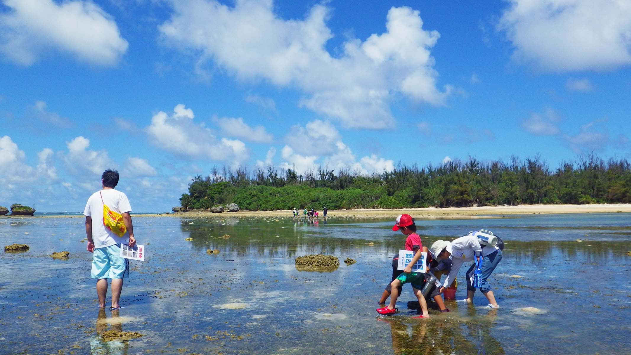 http://savejapan-pj.net/sj2013/okinawa03/5higata.JPG