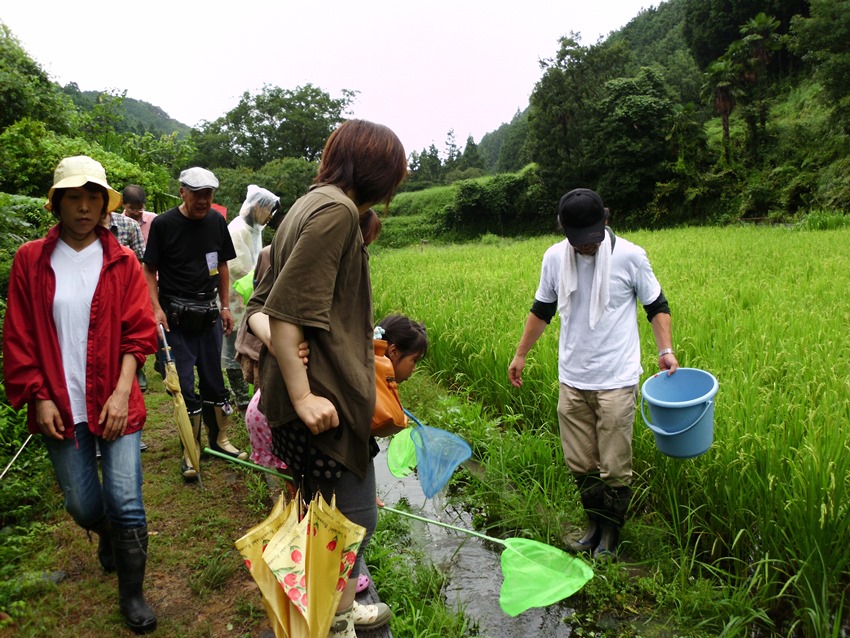 http://savejapan-pj.net/sj2013/wakayama02/13082512.JPG