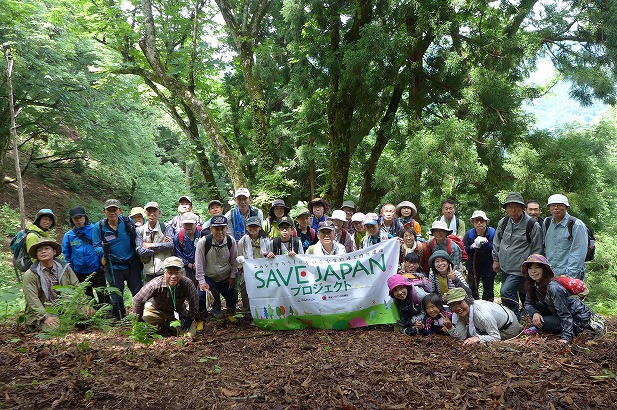 6月7日　巨木の森観察会　写真