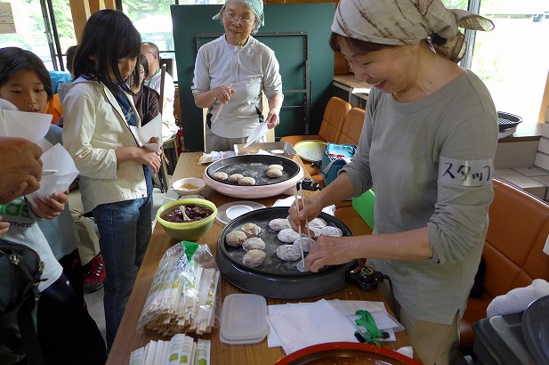 6月7日　巨木の森観察会　写真