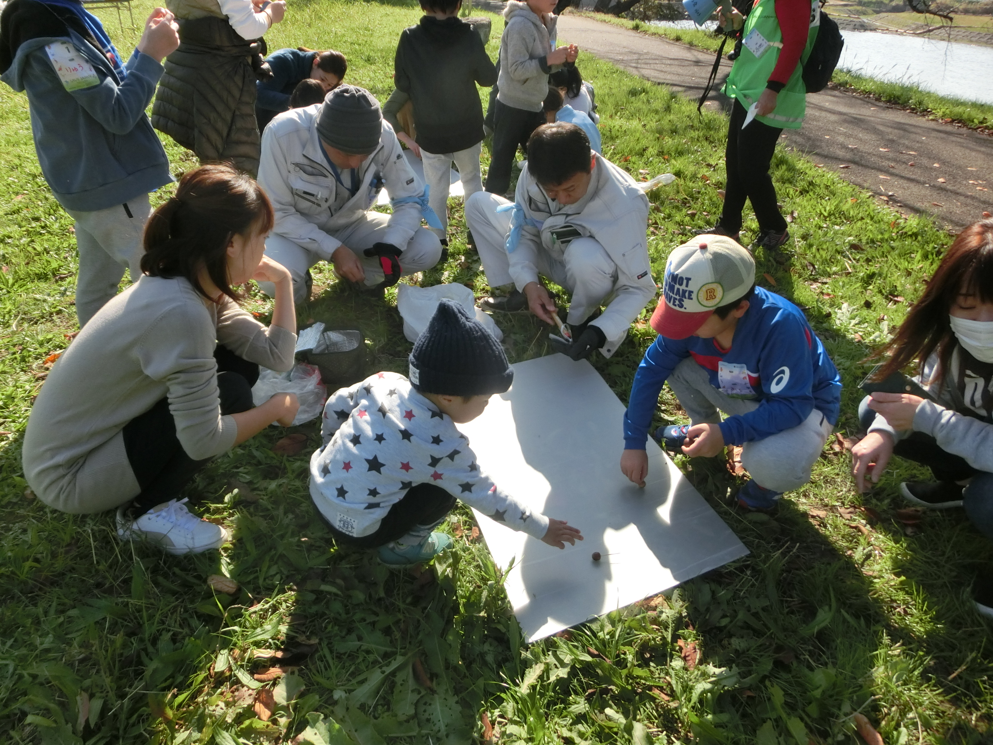 どんぐりコマ（よく廻るぅ）