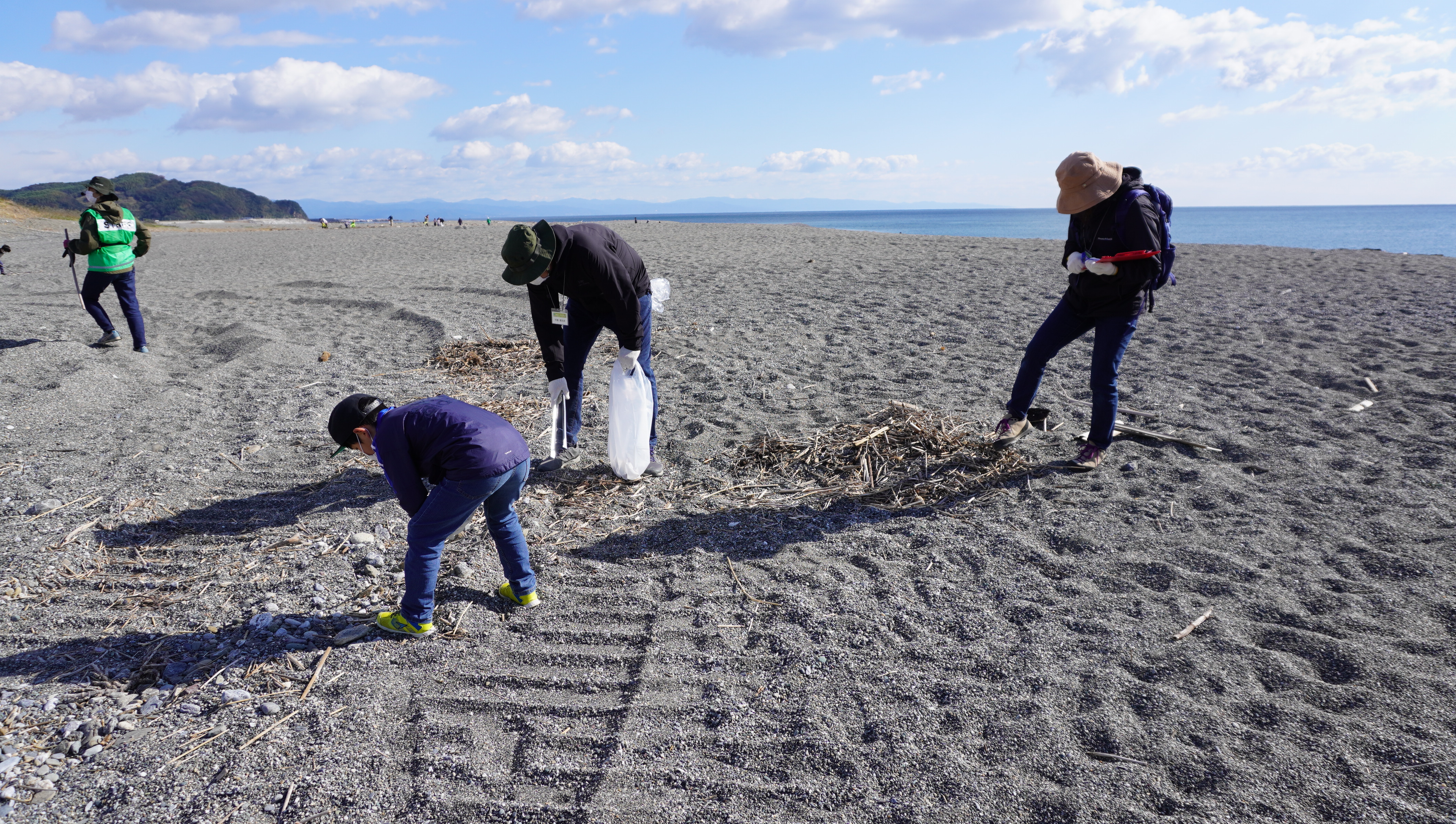 高知 | レポート： ウミガメがやってくるビーチを守ろう ビーチ