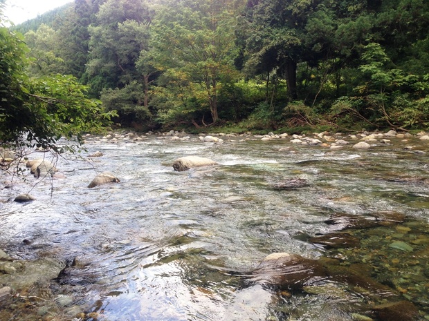 活動場所　大沢川