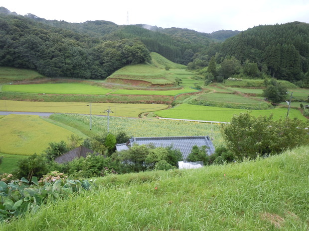 美しい里山と田園風景