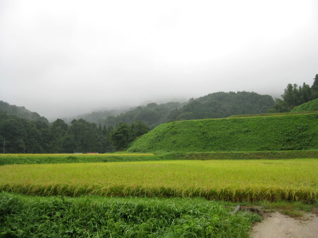 SATOYAMA