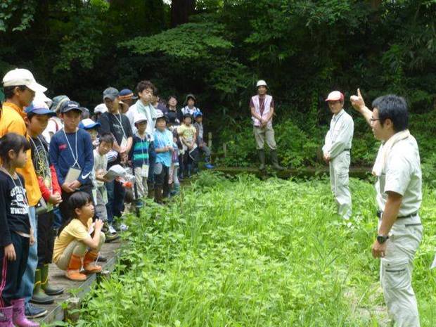 サンちゃんを外来生物から守るには？