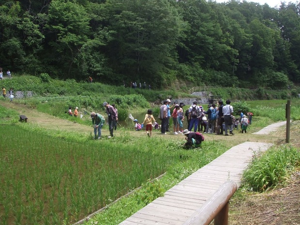 野外観察-2