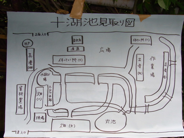 整備することで生物多様性の高い場所を目指します。