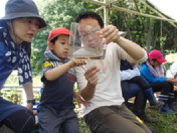 昆虫や両生類などの水生生物も観察します。