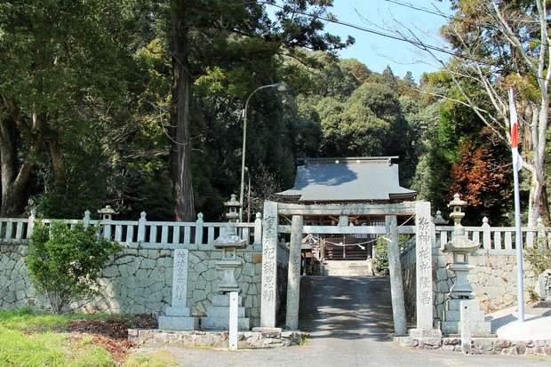 神社を覆う巨木