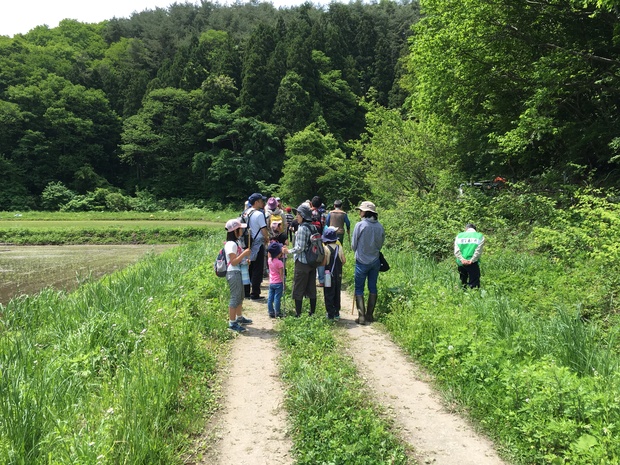 里山の生き物さがし