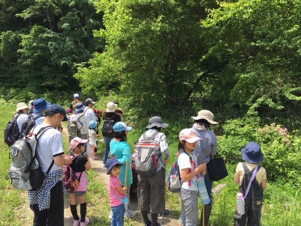 山のいきもの探し