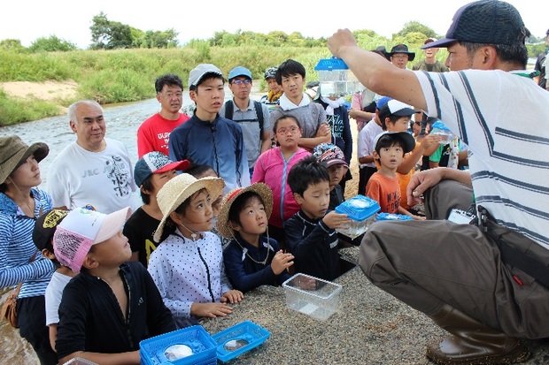 採集できた生き物の紹介