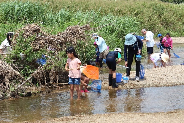 生き物採集の様子