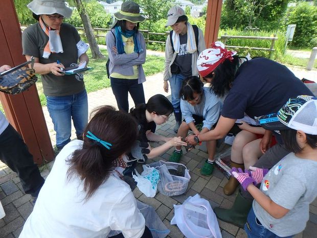 カメの種類やサイズを記録します