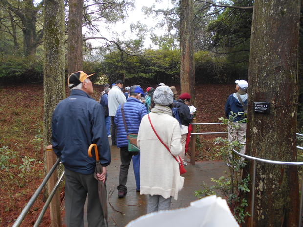 自然公園内を巡ります