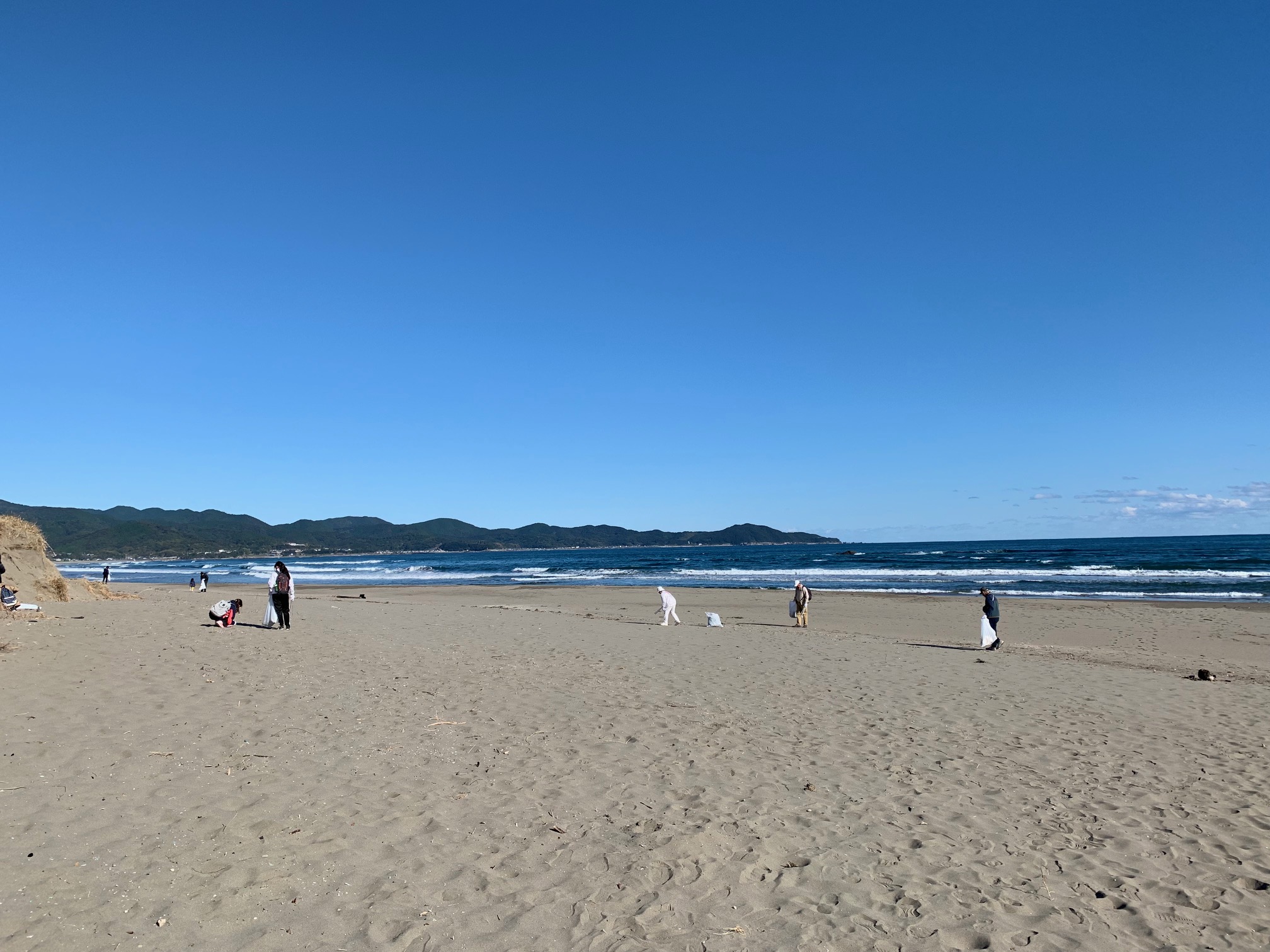 高知 イベント 中止 ウミガメがやってくるビーチを守ろう ビーチクリーンアップ大作戦 高知県西部 Save Japan プロジェクト