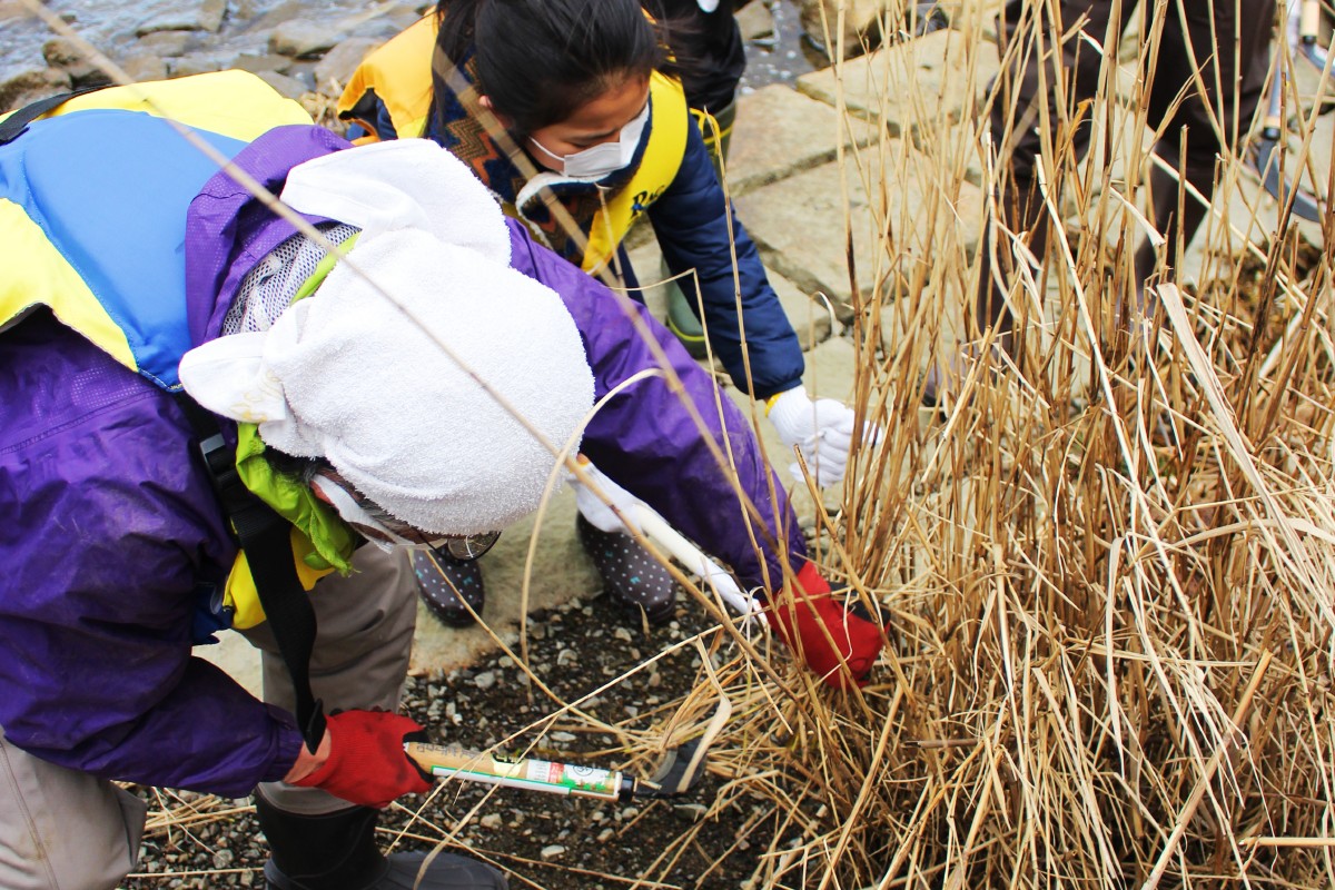 https://savejapan-pj.net/sj2022/fukui/images/07a_%E9%8E%8C%E3%81%AF%E3%80%8C%E5%BC%95%E3%81%8F%E3%80%8D%E3%81%AE%E3%81%AD.JPG