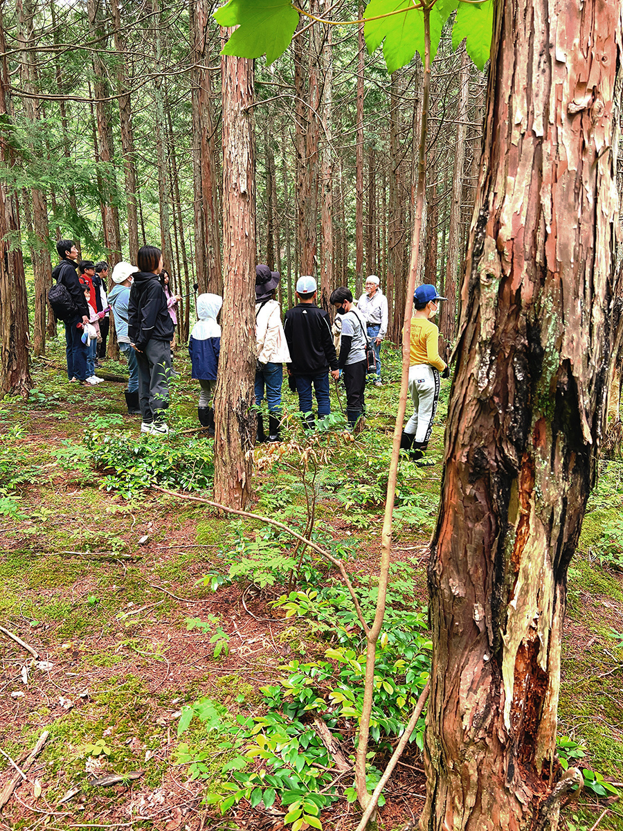 https://savejapan-pj.net/sj2022/fukui/images/10_02c_%E3%82%B7%E3%82%AB%E3%81%AE%E3%83%84%E3%83%A1%E3%82%A2%E3%83%88%28%E7%AB%B9%29.JPG