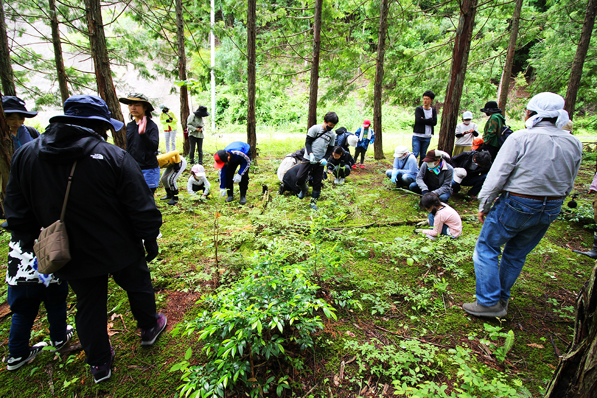 https://savejapan-pj.net/sj2022/fukui/images/10_02d_%E5%9C%B0%E9%9D%A2%E3%82%92%E6%8A%BC%E3%81%97%E3%81%A6%E3%81%BF%E3%82%88%E3%81%861.JPG