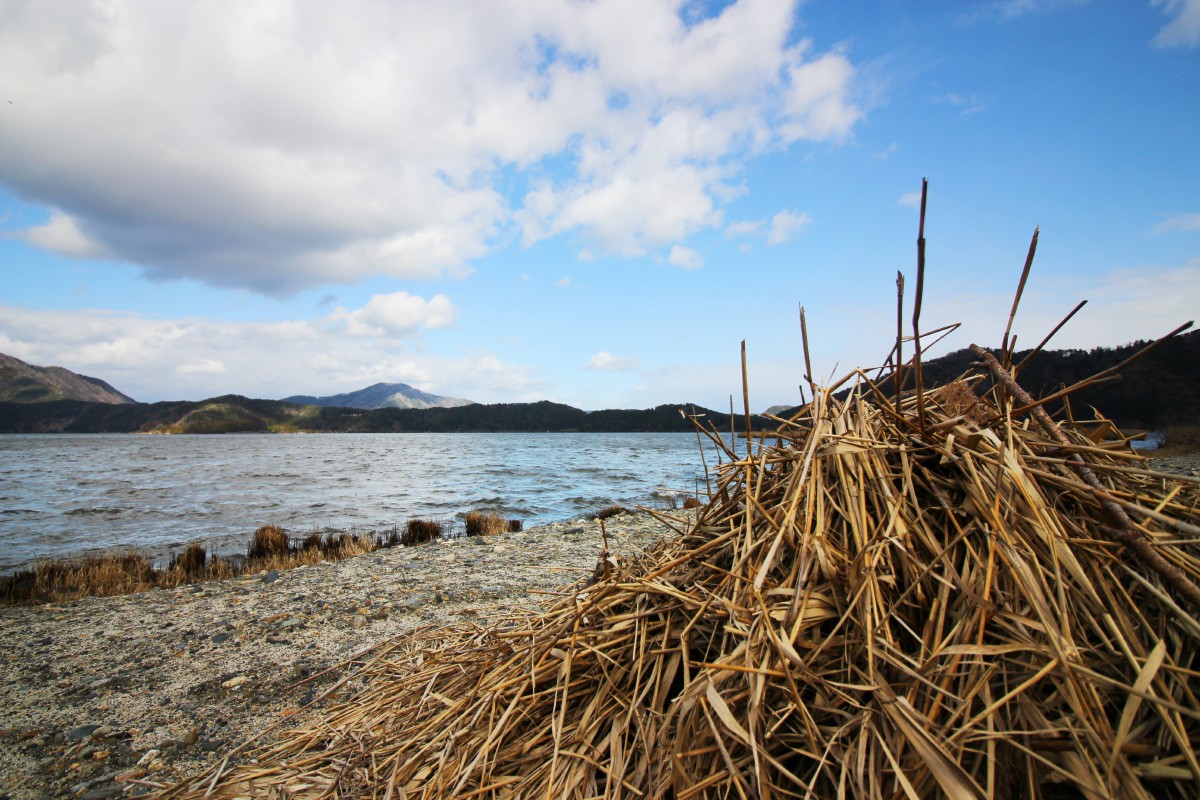 https://savejapan-pj.net/sj2022/fukui/images/12_%E4%BB%8A%E5%BA%A6%E3%81%AF%E5%A4%8F%E3%81%AB%EF%BC%81.JPG