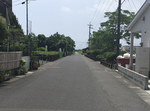 道の先に広がる錦江湾