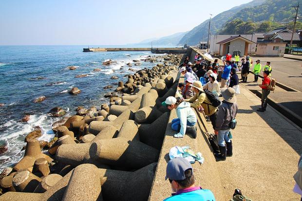 01_09_山からの恵みで海の生きものも豊かに.jpg