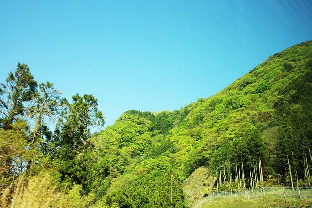 00_04_山の緑も多彩.JPG
