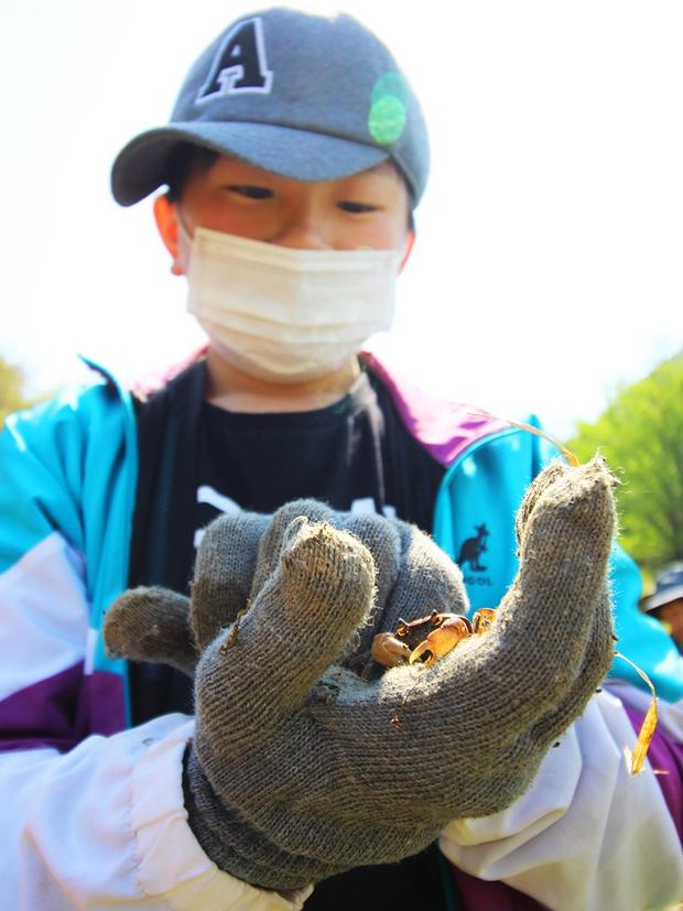 03_02e_掘ってるとサワガニくん1.JPG