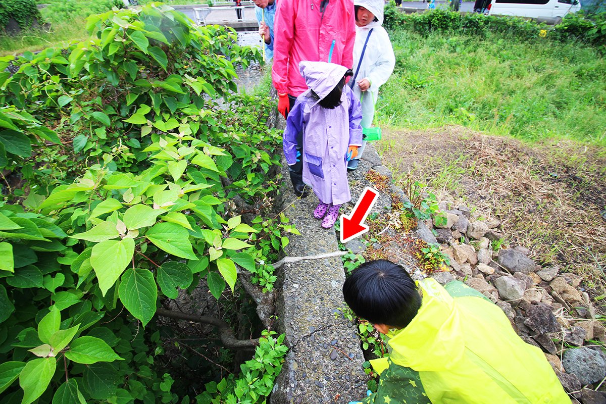 https://savejapan-pj.net/sj2024/fukui/images/15fc452286daf9a0caa530a012c7e79210d52614.JPG