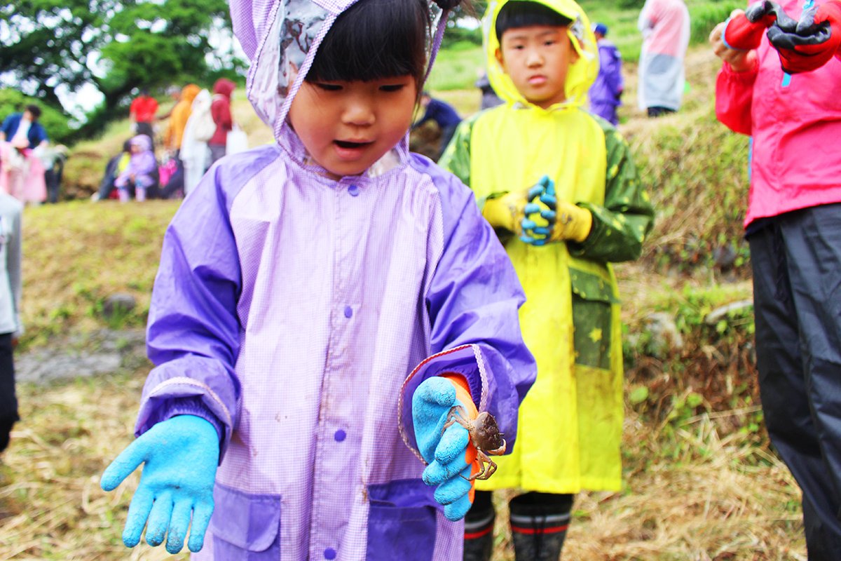 https://savejapan-pj.net/sj2024/fukui/images/1767981aa04c07cf7c5a9704034fae0b391d9e94.JPG