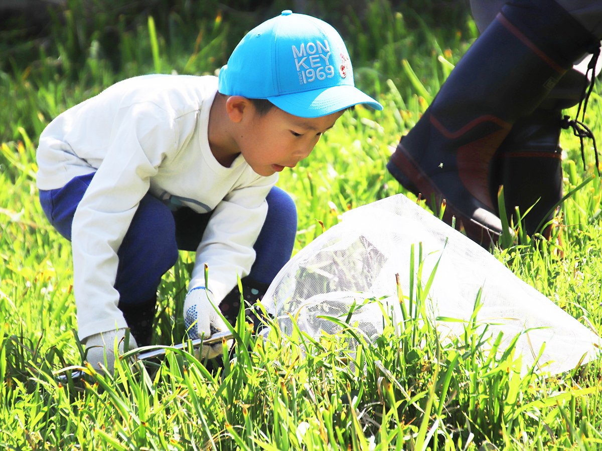 https://savejapan-pj.net/sj2024/fukui/images/2d9b879c89b502301b69478cac7d44cd54ef9aa3.JPG