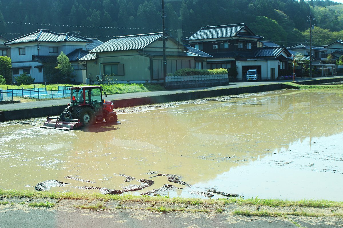 https://savejapan-pj.net/sj2024/fukui/images/8d623e30e06c178051d17d501196ddb8f746a2b8.JPG