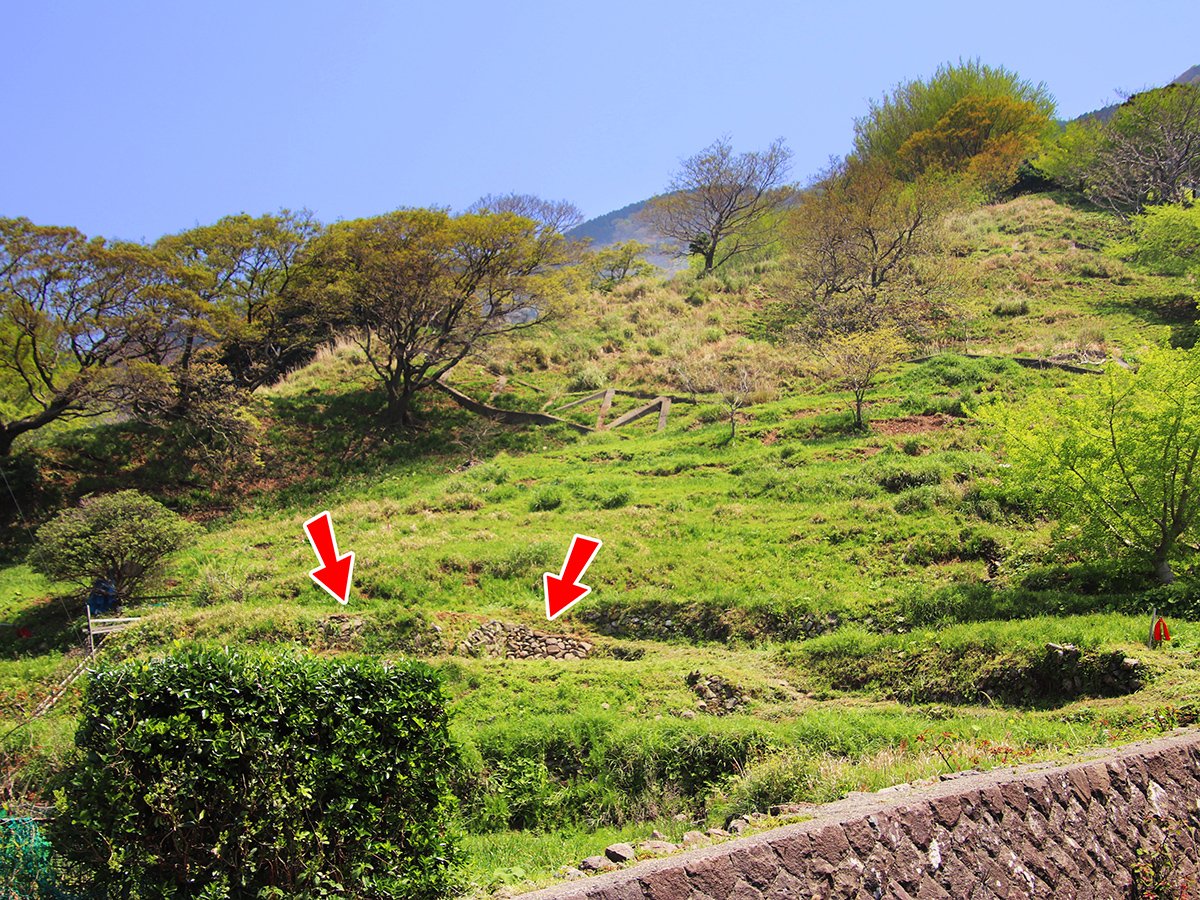 https://savejapan-pj.net/sj2024/fukui/images/af1fd6ef8a579812fb0cdbcfefeef4652e94787d.JPG