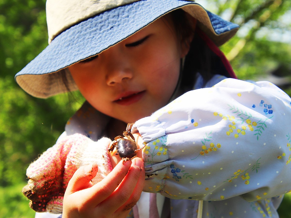 https://savejapan-pj.net/sj2024/fukui/images/d0fda11ab181091a4799eace8a9b08be84a66f0c.JPG
