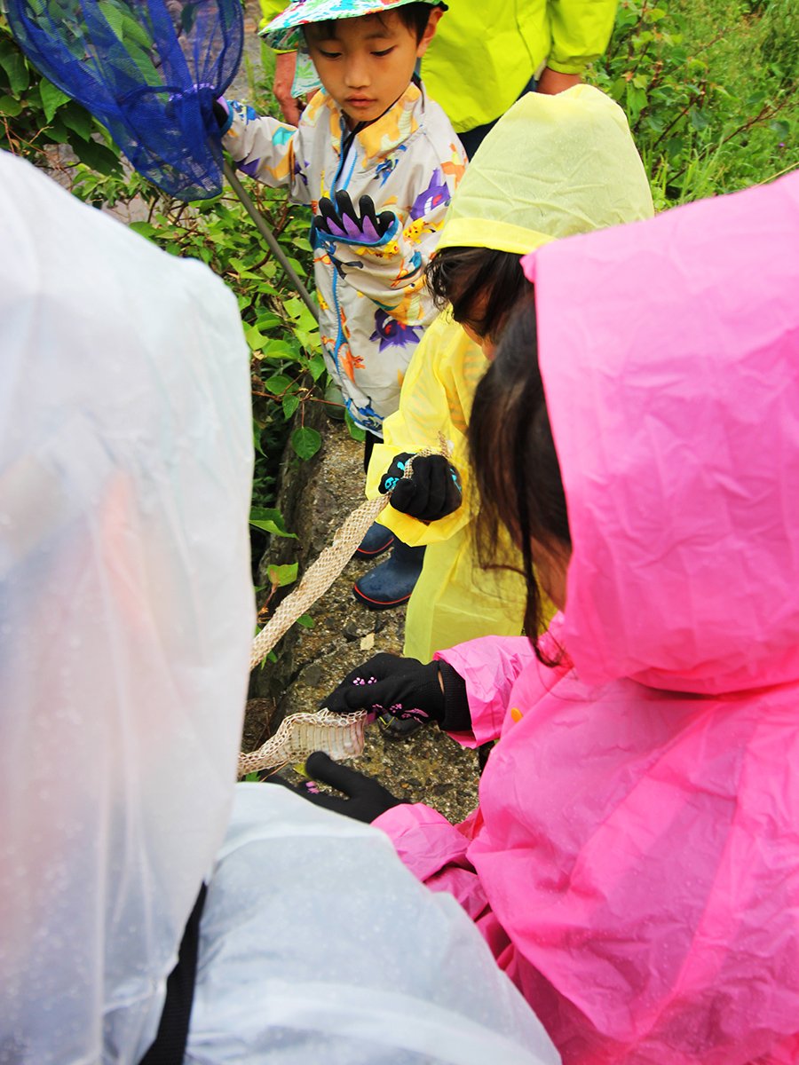 https://savejapan-pj.net/sj2024/fukui/images/ee2992586e7b1c9346690b85a8329b00c70f4e5c.JPG