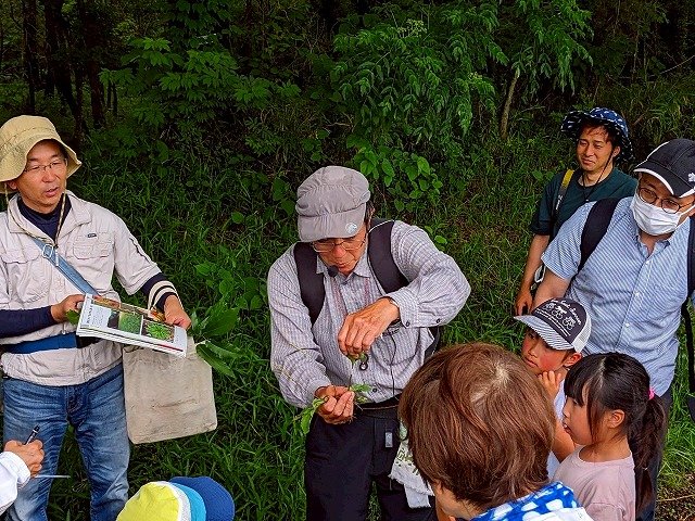 観察会8.jpg