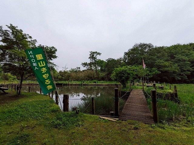 整備した池.jpg