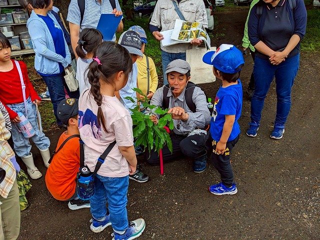 観察会3.jpg