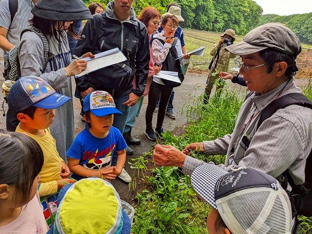 観察会12.jpg