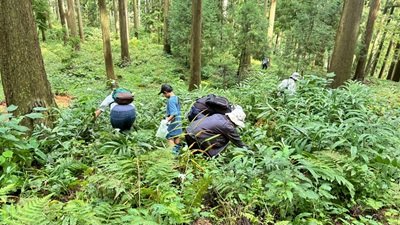 IMG_3390.JPG