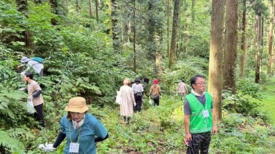 IMG_3392.JPG