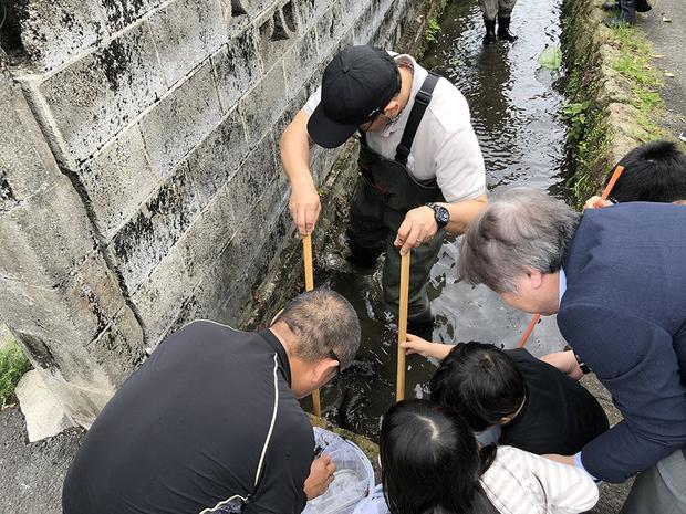 水路には様々な生き物が暮らしている