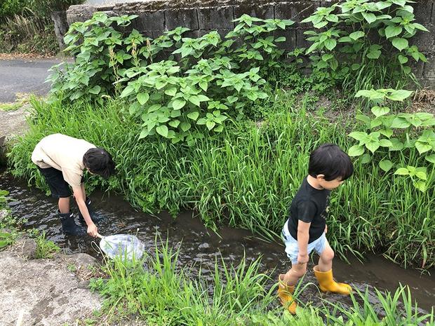 水路でガサガサ