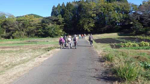 のんびり里山歩き　一部トロッコ道跡跡も歩きます