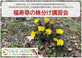 希少な山野草を知り、福寿草の株分けを体験する機会